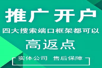 案例研究：竞价广告助力电商行业增长